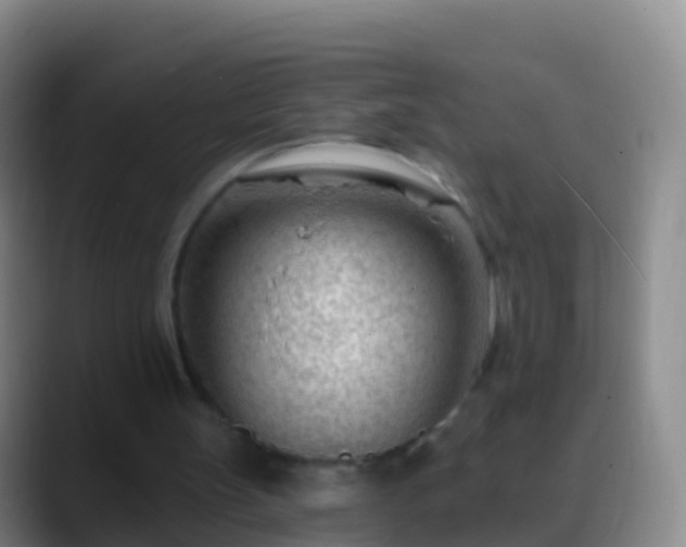 X0000088900147200706151854
