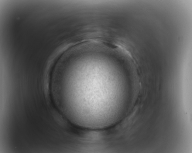 X0000088900149200706151854