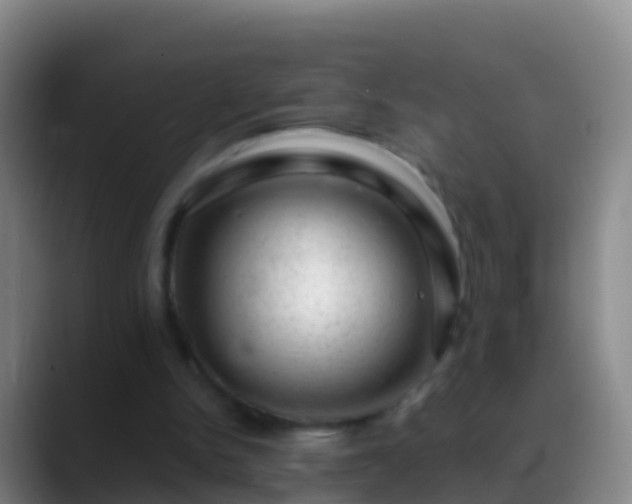 X0000088900150200706151854