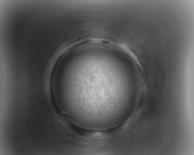 X0000088900151200706151854