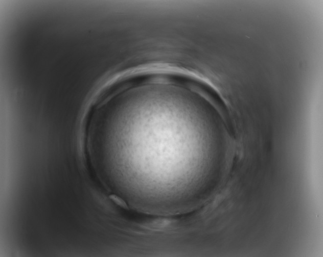 X0000088900152200706151854