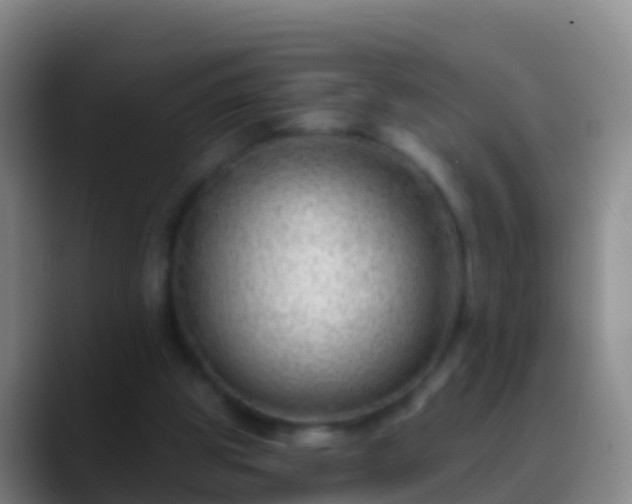 X0000088900153200706151854