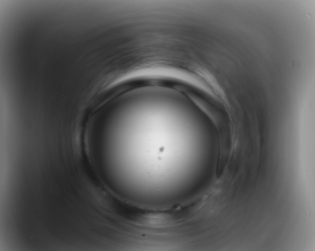 X0000088900154200706151854