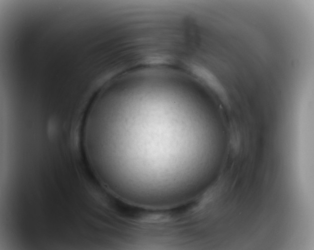 X0000088900155200706151854