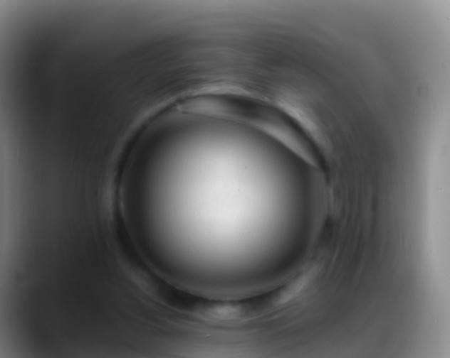X0000088900156200706151854