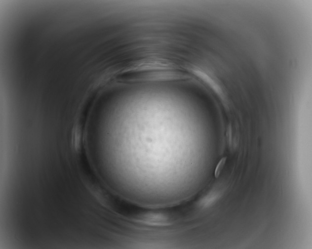 X0000088900157200706151854