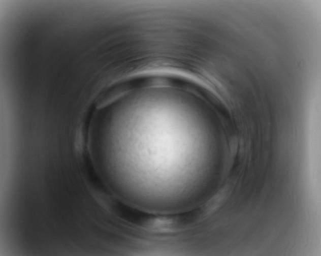 X0000088900158200706151854