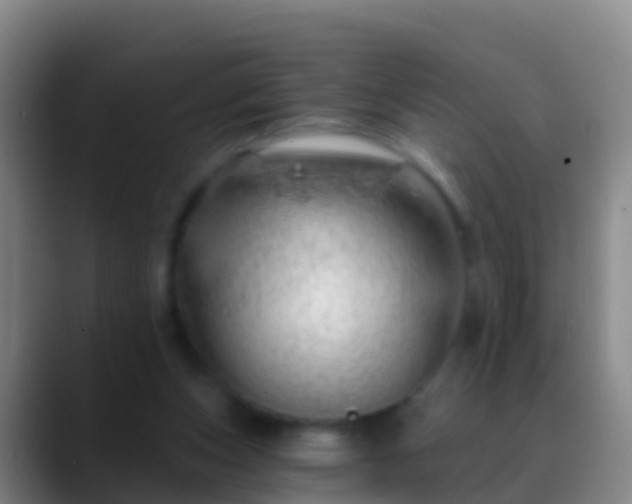 X0000088900159200706151854
