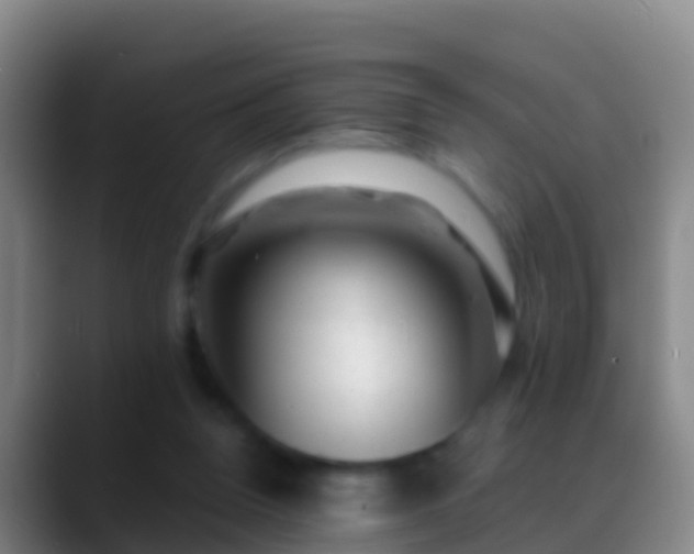 X0000088900160200706151854