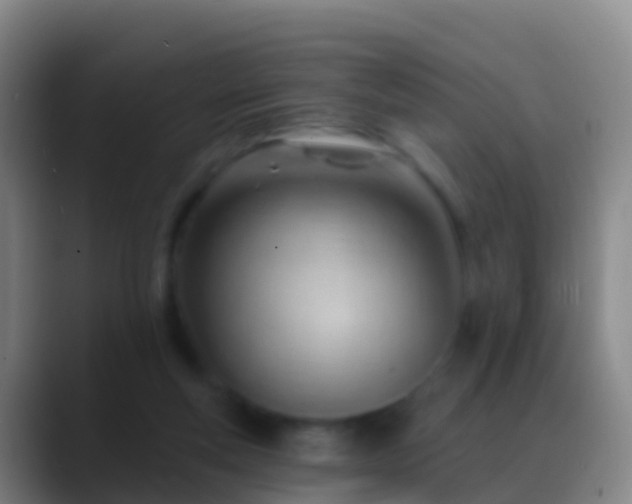 X0000088900163200706151854