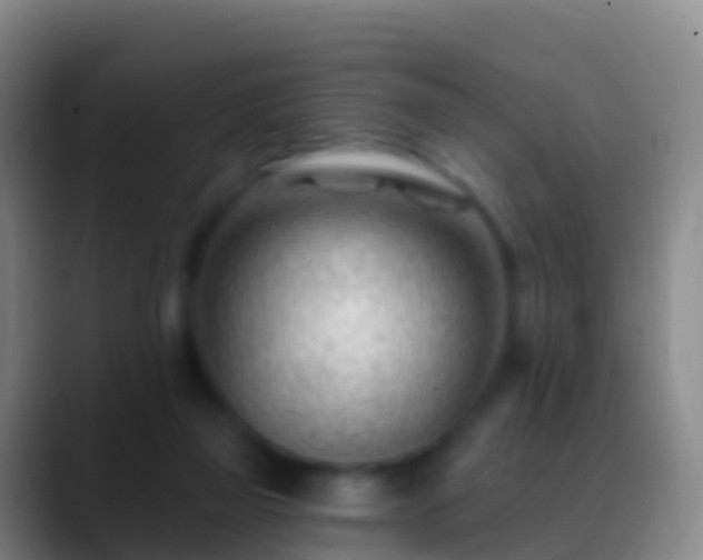 X0000088900165200706151854