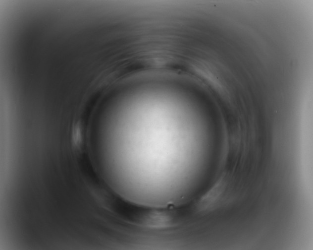 X0000088900166200706151854
