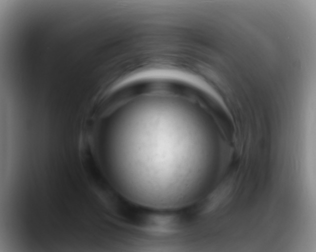 X0000088900168200706151854
