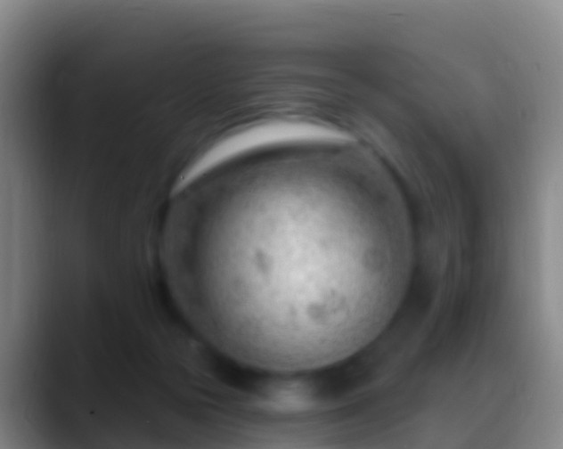 X0000088900169200706151854