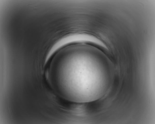 X0000088900170200706151854