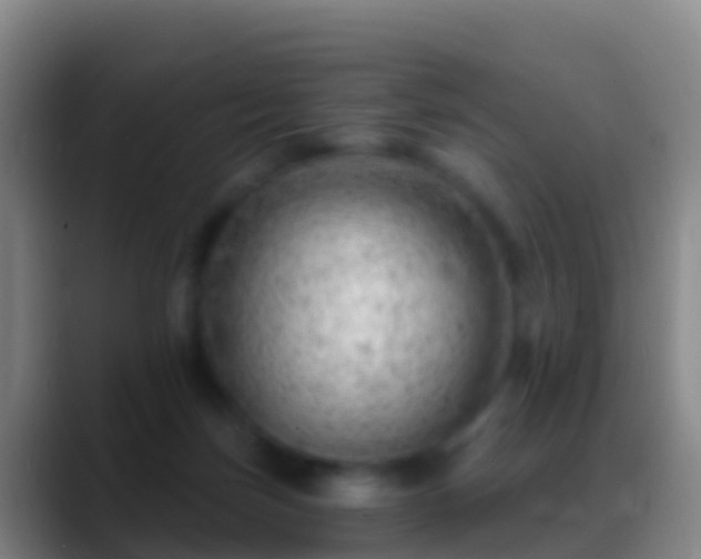 X0000088900171200706151854