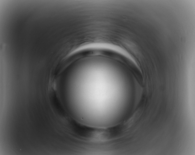X0000088900172200706151854