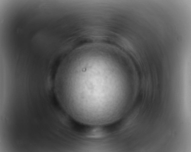 X0000088900173200706151854