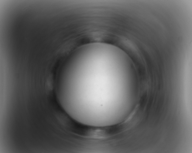 X0000088900174200706151854