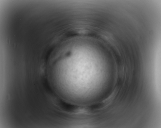 X0000088900175200706151854
