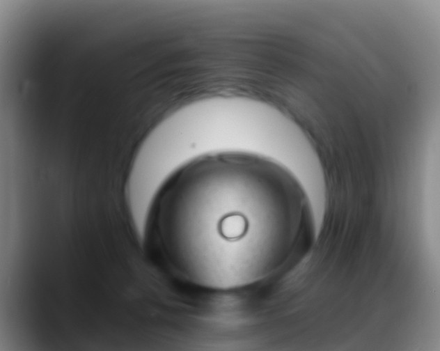 X0000088900176200706151854
