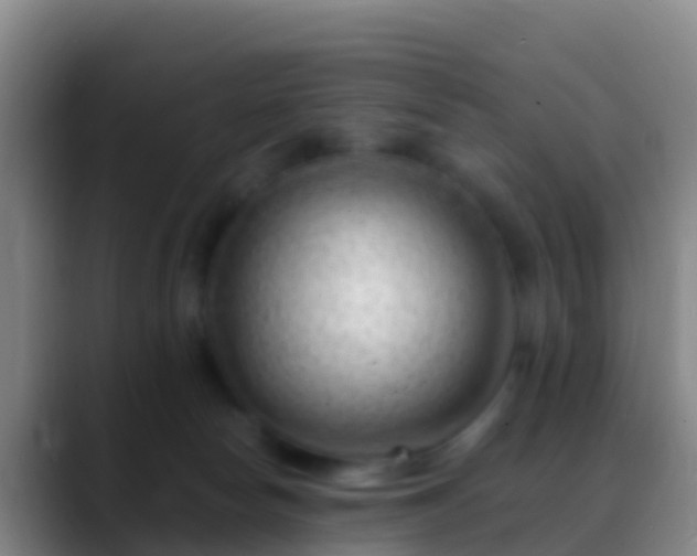 X0000088900178200706151854