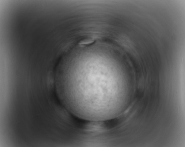 X0000088900179200706151854