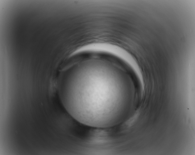 X0000088900180200706151854