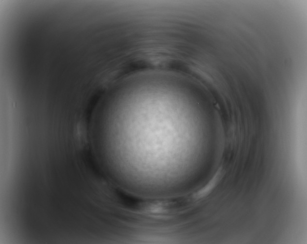 X0000088900182200706151854