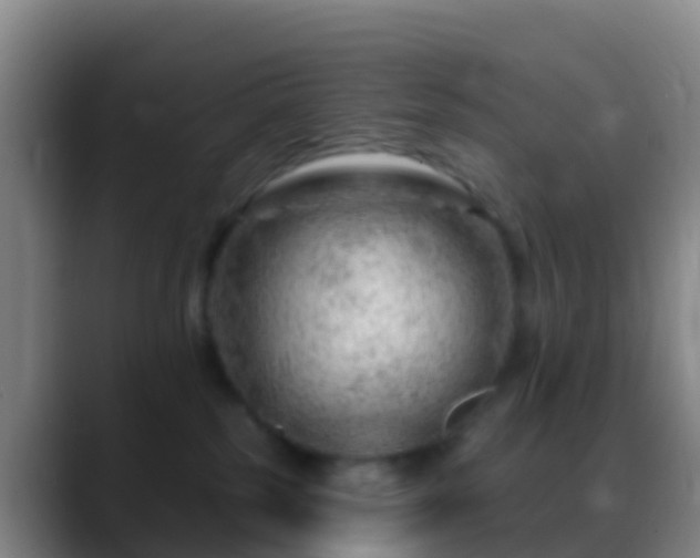 X0000088900185200706151854