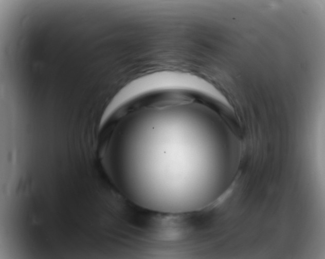 X0000088900186200706151854
