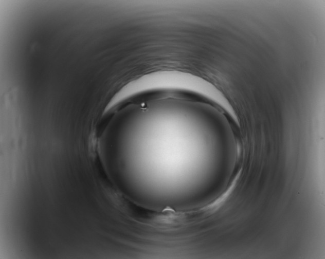 X0000088900190200706151854