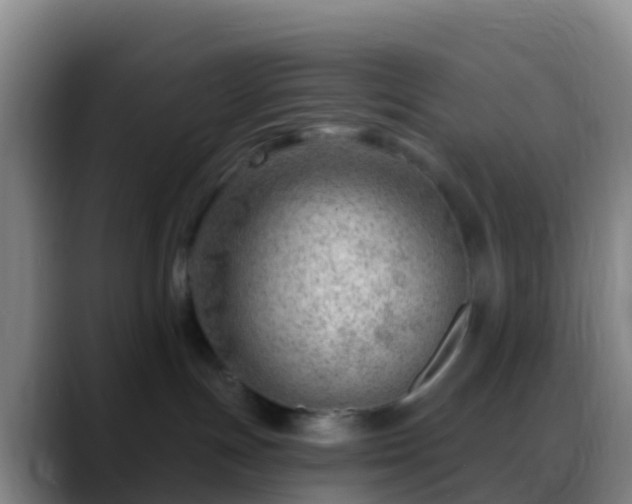 X0000088900191200706151854