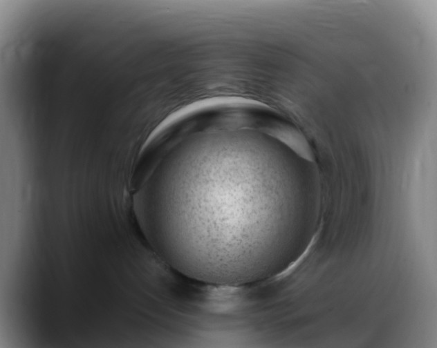 X0000088900192200706151854