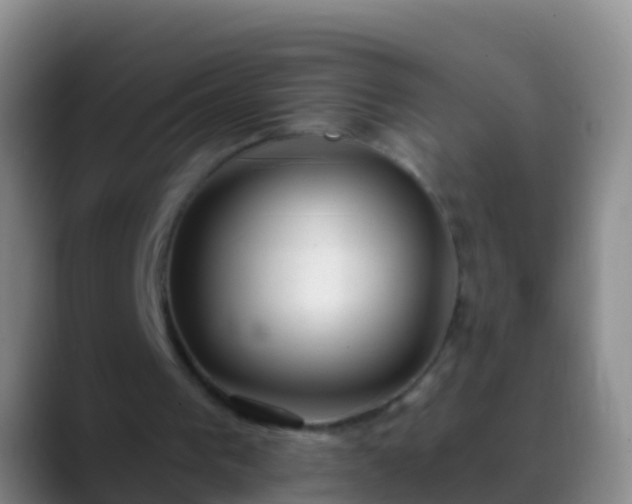 X0000088900193200706151854