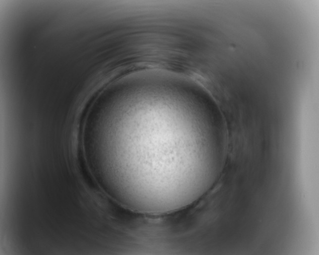 X0000088900194200706151854