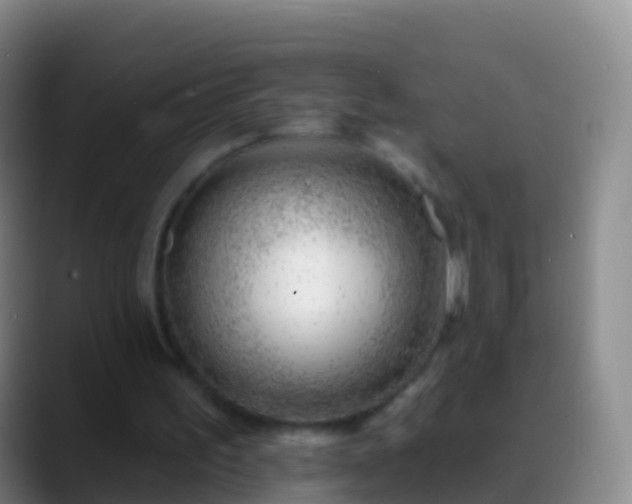 X0000088900195200706151854