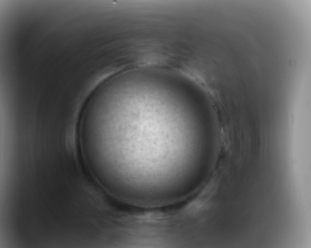 X0000088900196200706151854