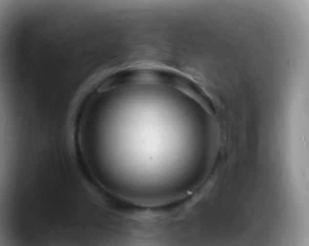 X0000088900197200706151854