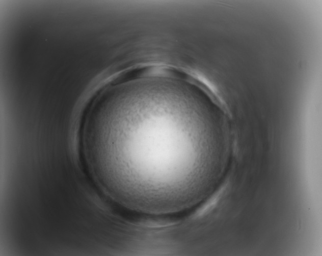 X0000088900199200706151854