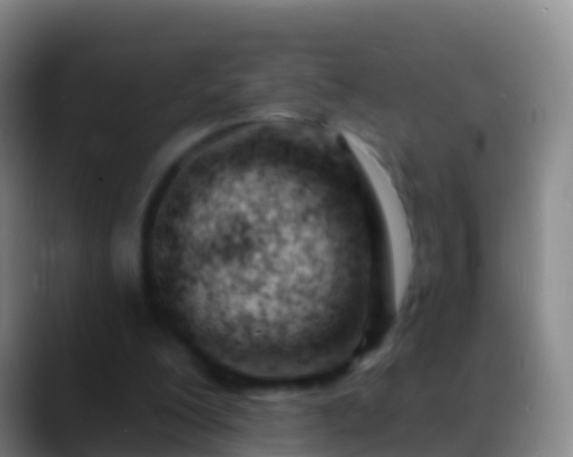 X0000088900200200706151854