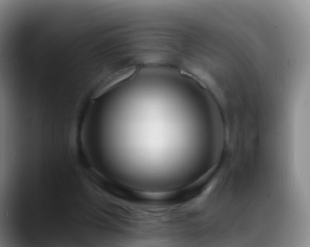 X0000088900201200706151854