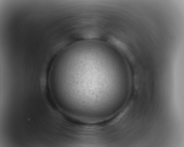X0000088900202200706151854
