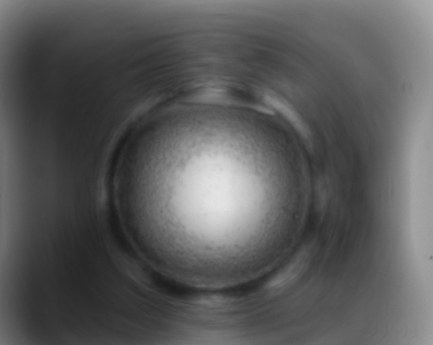 X0000088900203200706151854