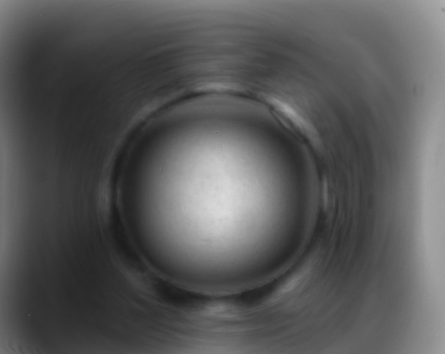 X0000088900204200706151854