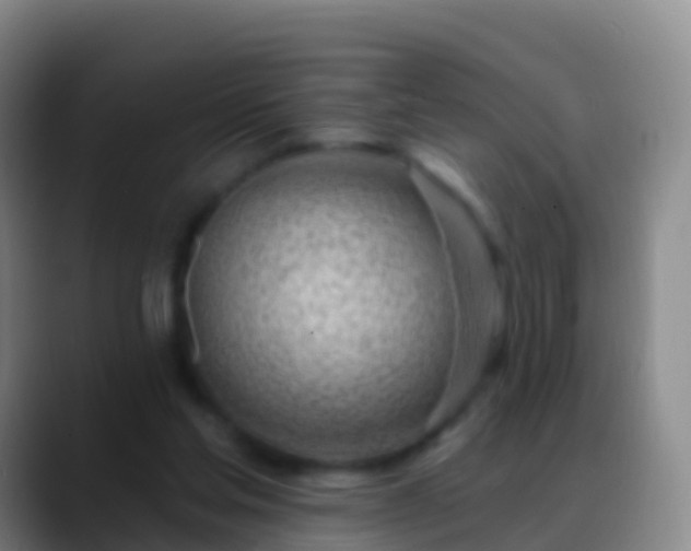X0000088900205200706151854