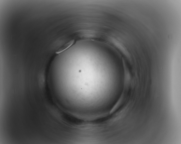 X0000088900207200706151854