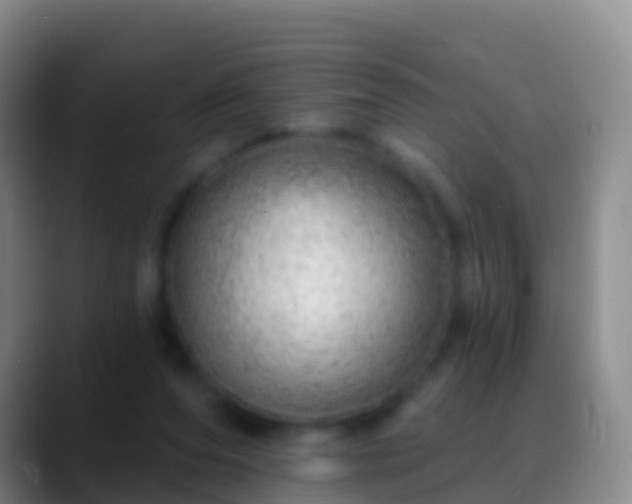 X0000088900208200706151854