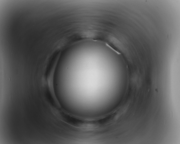 X0000088900209200706151854