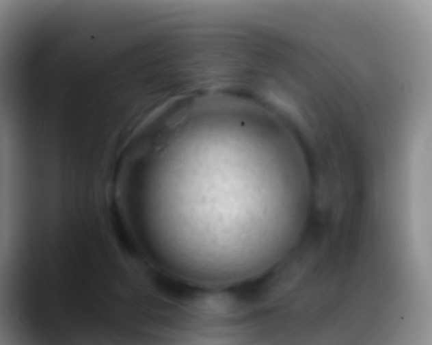 X0000088900210200706151854